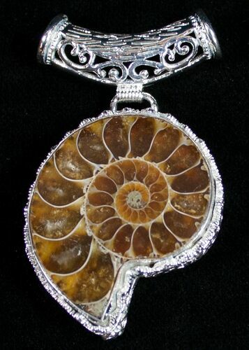 Fossil Ammonite Pendant - Million Years Old #10164